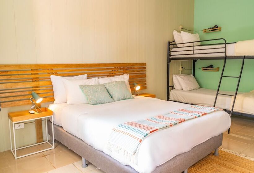 Семейный Номер, Socialtel Red Frog