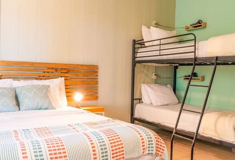 Семейный Номер, Socialtel Red Frog