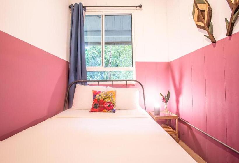 Номер Базовый Совметсный Санузел, Socialtel Red Frog