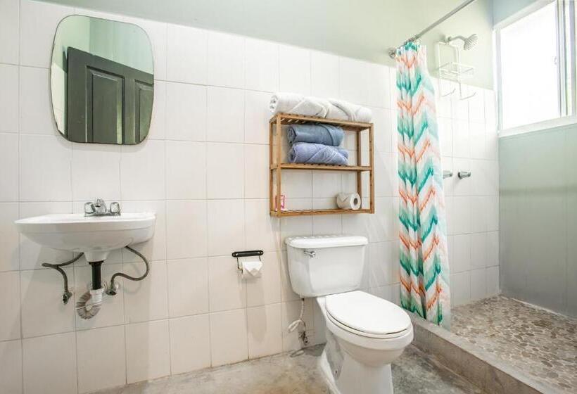 Номер Базовый Совметсный Санузел, Socialtel Red Frog