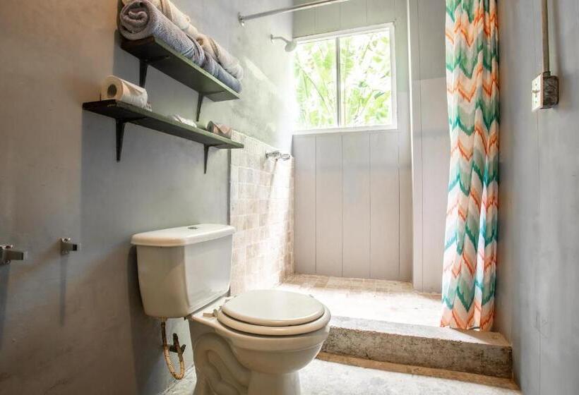 Номер Стандартный с Видом, Socialtel Red Frog