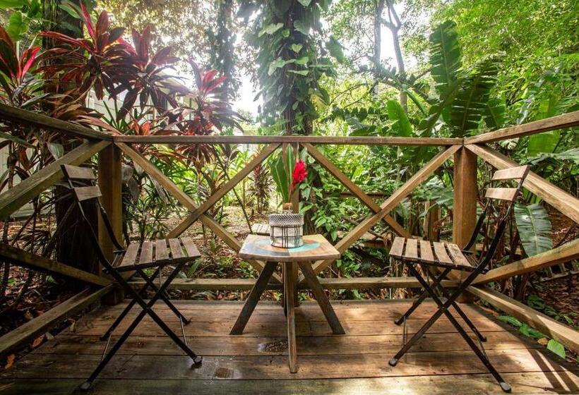 Бунгало Стандарт, Socialtel Red Frog