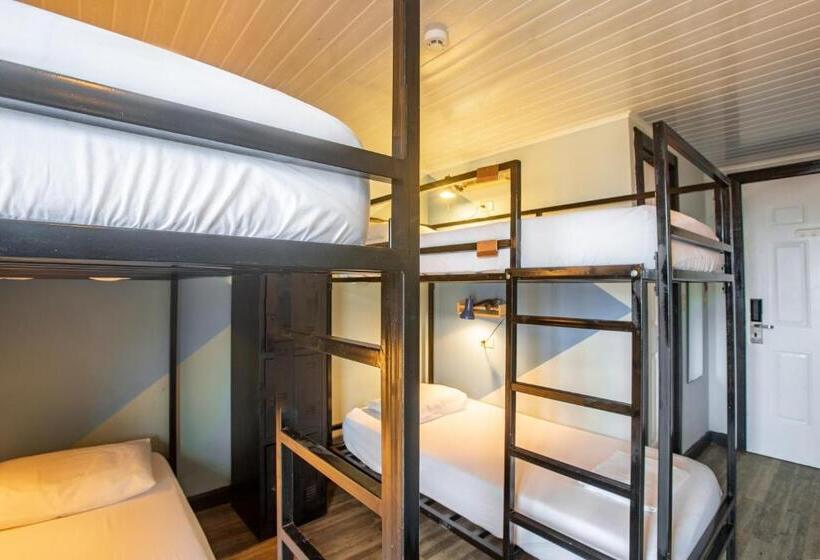 Номер Стандарт, Socialtel Red Frog