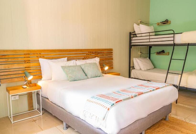 Семейный Номер, Socialtel Red Frog