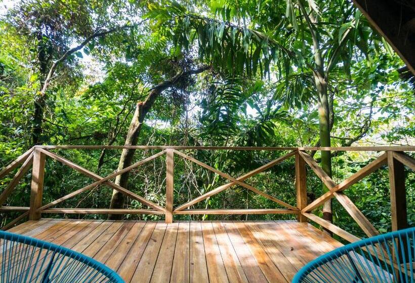 Standard Tent, Socialtel Red Frog