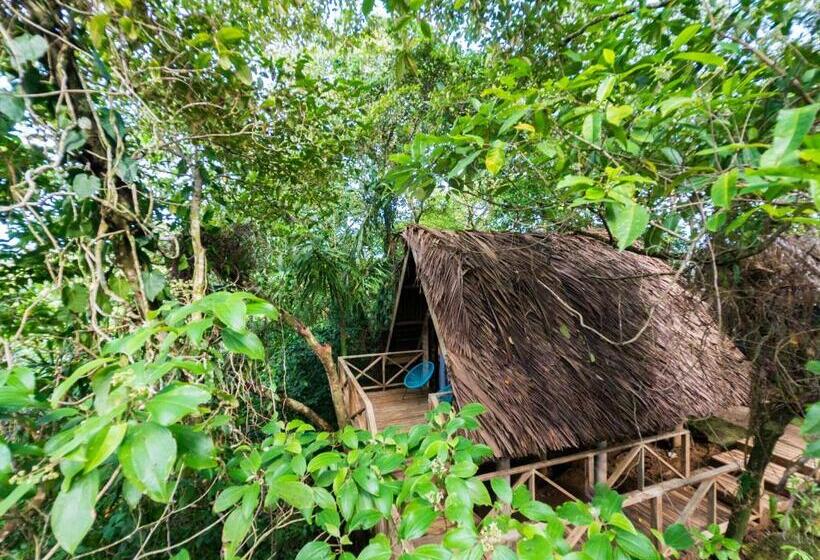 Standard Tent, Socialtel Red Frog