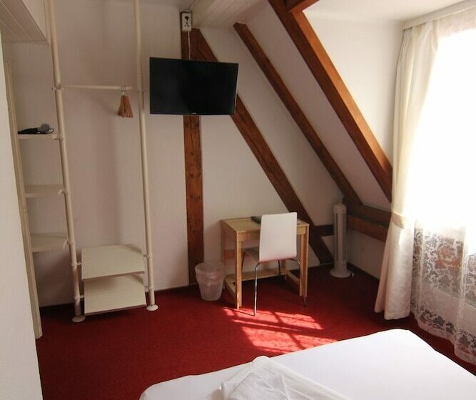 标准间, Zunfthaus Zur Rebleuten