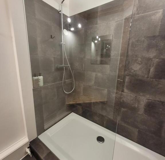 标准单人间共用浴室, Zunfthaus Zur Rebleuten