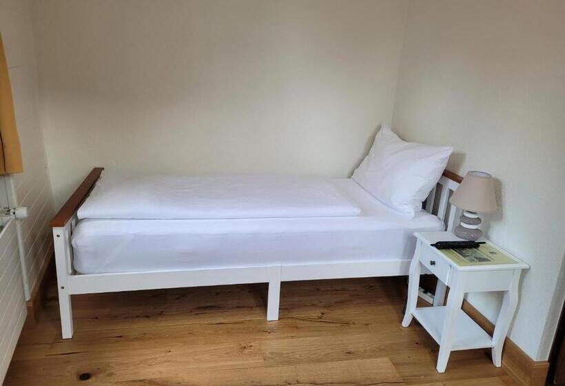 标准单人间共用浴室, Zunfthaus Zur Rebleuten