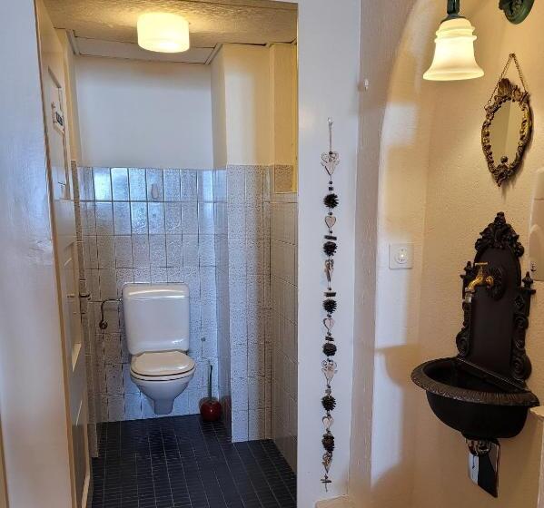 标准单人间共用浴室, Zunfthaus Zur Rebleuten