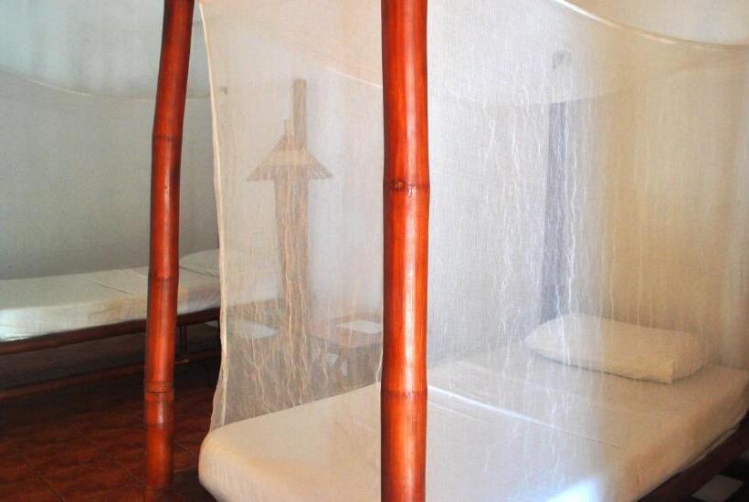 اتاق استاندارد با چشمانداز دریا, The Blue Orchid Resort