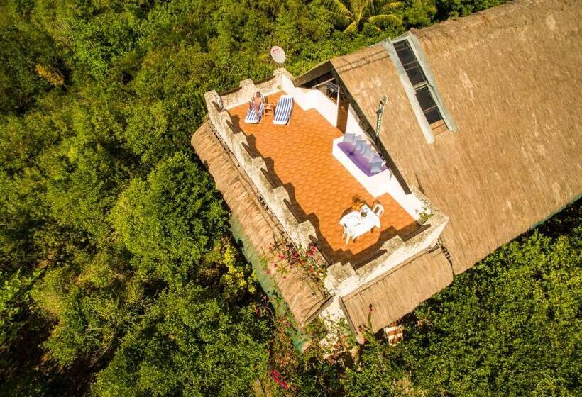 سوییت, The Blue Orchid Resort