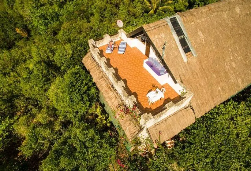 スイート, The Blue Orchid Resort