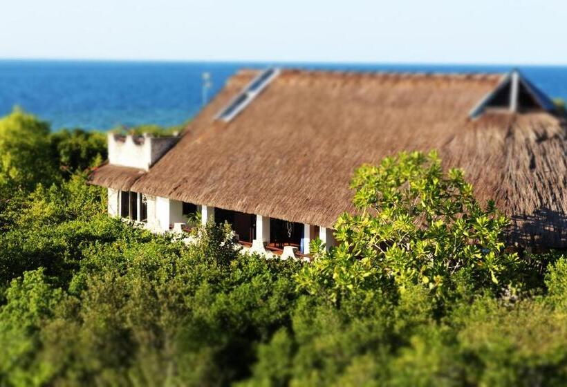 سوییت, The Blue Orchid Resort