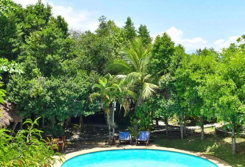 プールビュースタンダードルーム, The Blue Orchid Resort