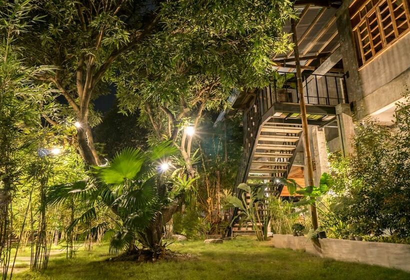 غرفة سوبيريور, The Flying Fish Hostel