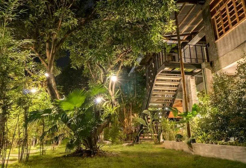 Superior-huone, The Flying Fish Hostel