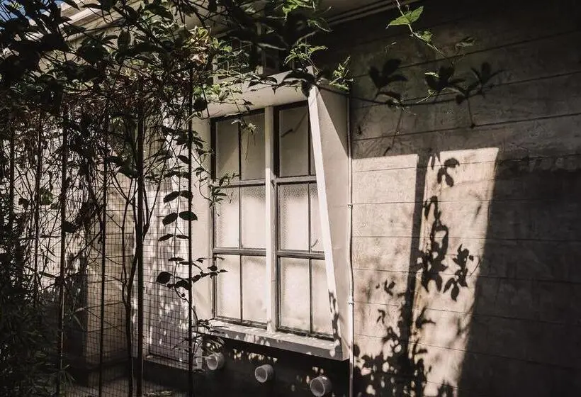 Standard-huone, The Flying Fish Hostel