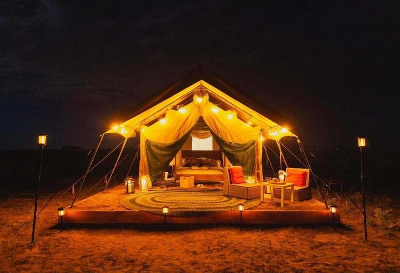 اتاق لوکس, Desert Dream Royal Camps & Pool