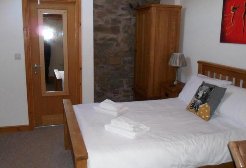 Номер Стандарт, The Bear