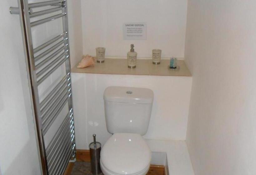 Номер Deluxe, The Bear