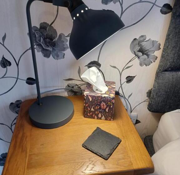 غرفة ديلوكس, The Bear