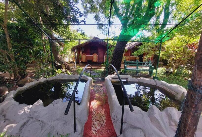 이코노미 룸, Inn On The Bay