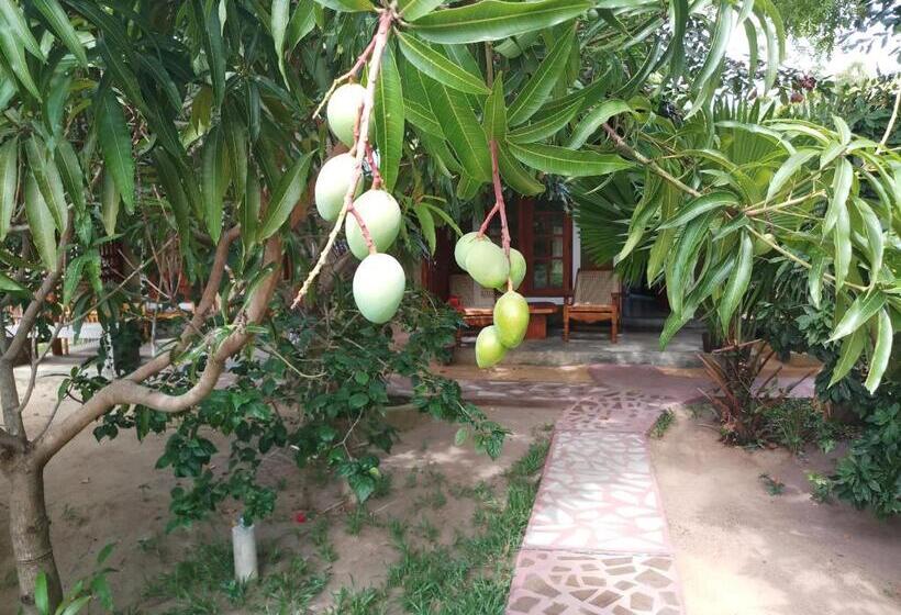 이코노미 룸, Inn On The Bay