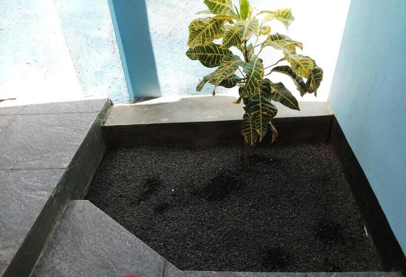 수피리어 방갈로, Inn On The Bay