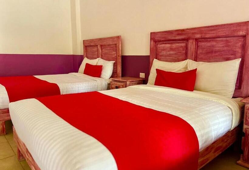 غرفة أساسية ثلاثية, Pedregal