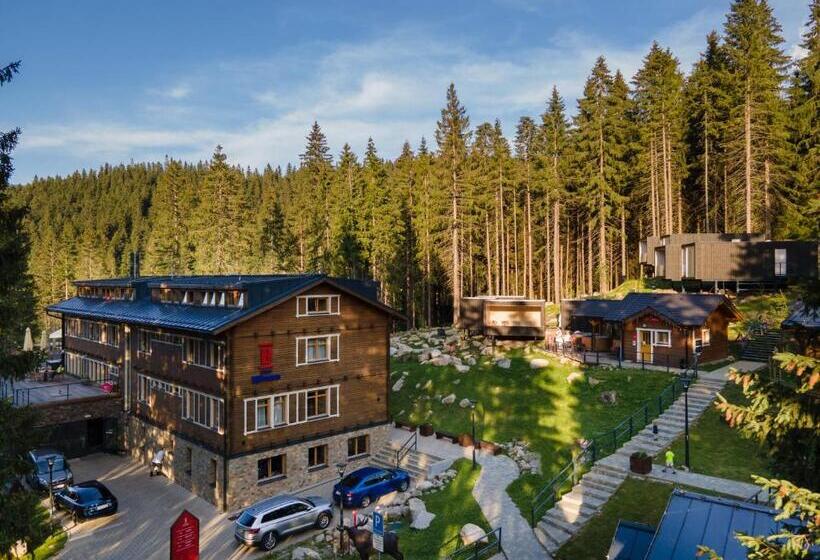 Номер Стандарт, Björnson Jasná & Björnson Tree Houses