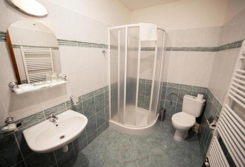 جناح ديلوكس, Bristol