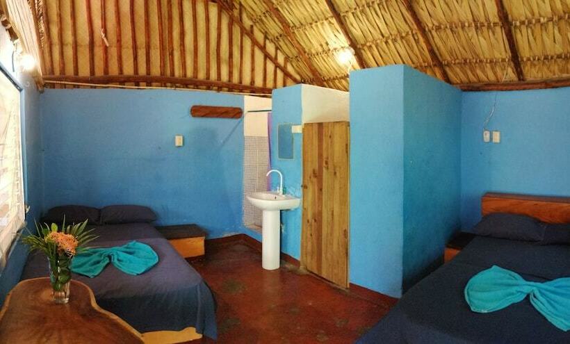 اتاق استاندارد, El Delfin