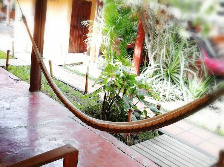 اتاق استاندارد, El Delfin