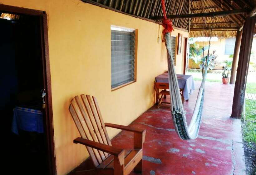 اتاق استاندارد, El Delfin