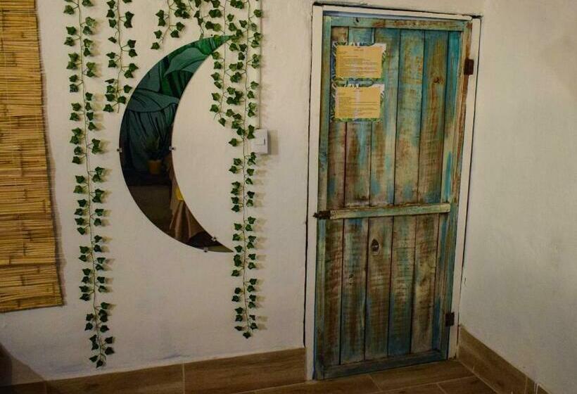 اتاق استاندارد, El Delfin