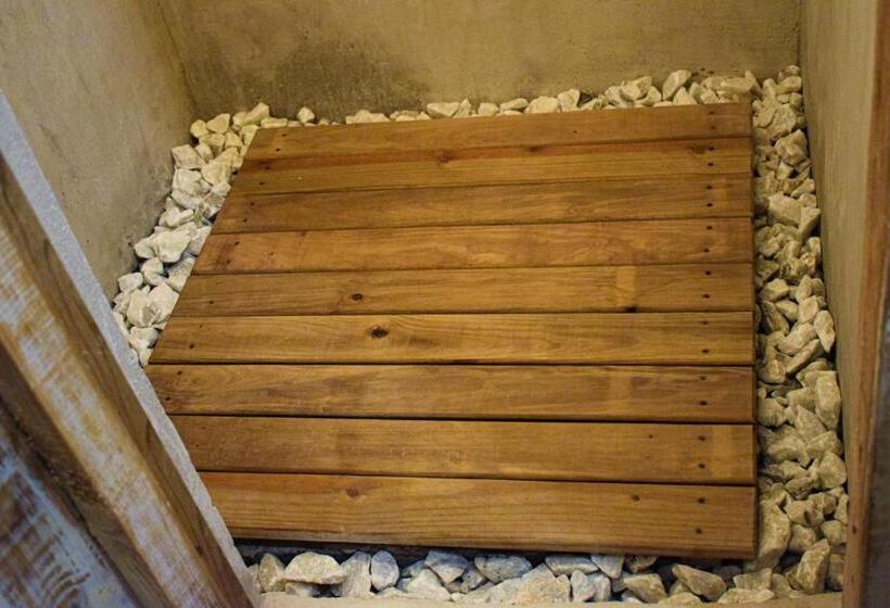 اتاق استاندارد, El Delfin