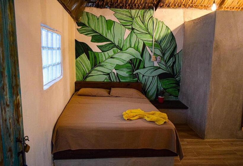 اتاق استاندارد, El Delfin