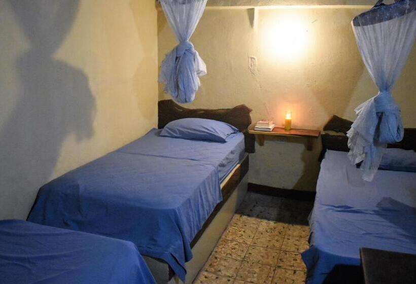 اتاق استاندارد سه تخته با سرویس بهداشتی مشترک, El Delfin