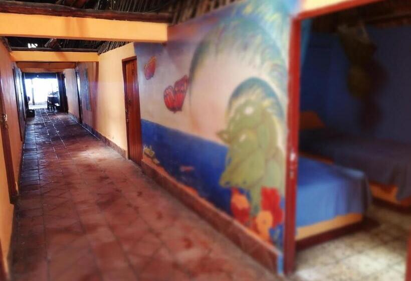 اتاق استاندارد سه تخته با سرویس بهداشتی مشترک, El Delfin