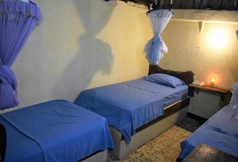 اتاق استاندارد سه تخته با سرویس بهداشتی مشترک, El Delfin