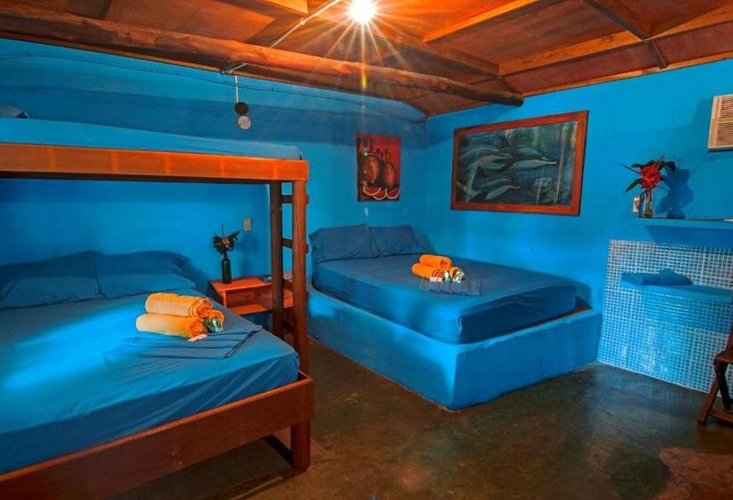 اتاق لوکس, El Delfin