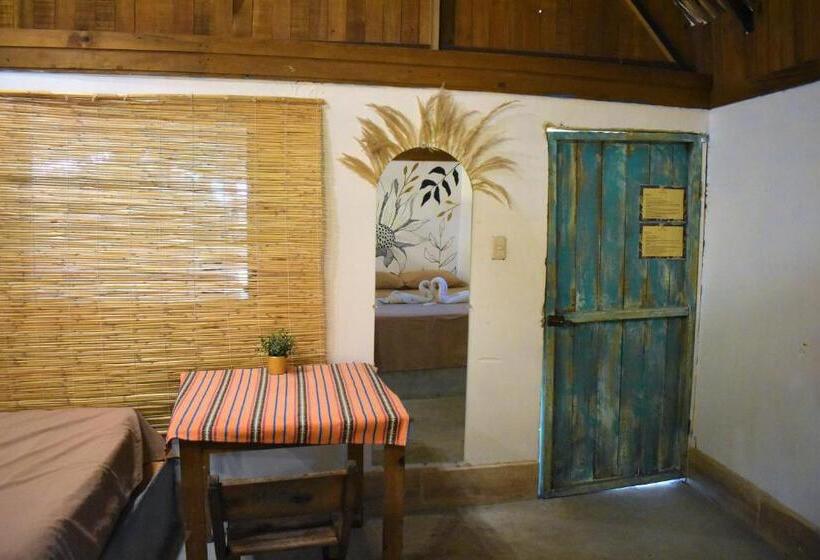 اتاق لوکس, El Delfin