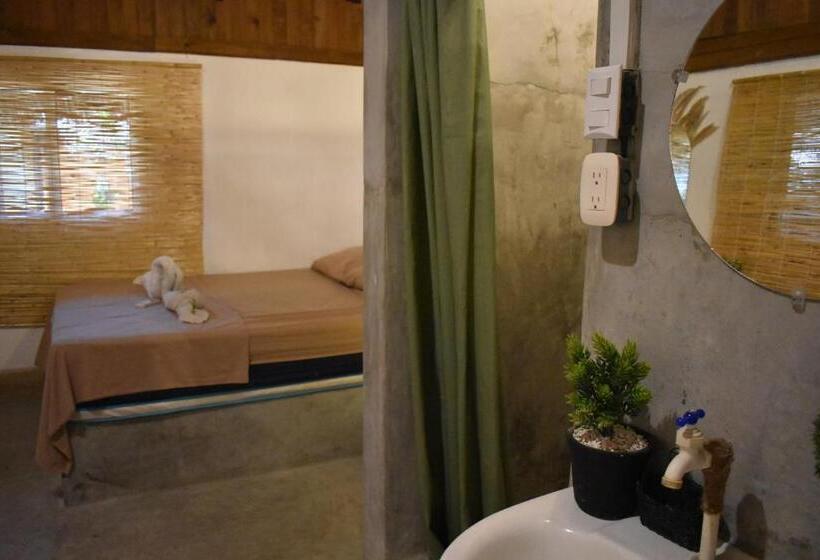 اتاق لوکس, El Delfin