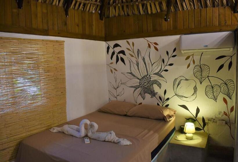 اتاق لوکس, El Delfin