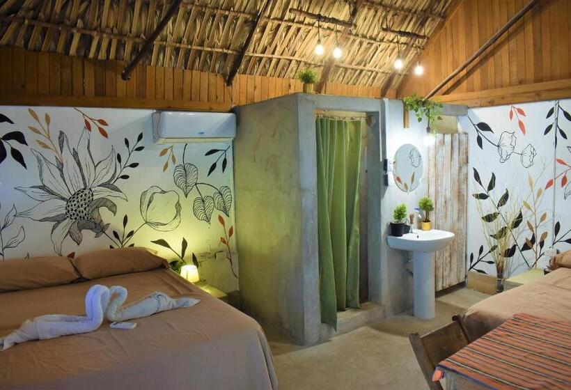 اتاق لوکس, El Delfin