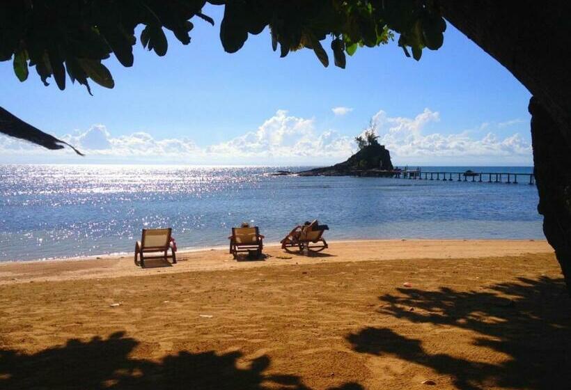 스탠다드 방갈로, Libertalia