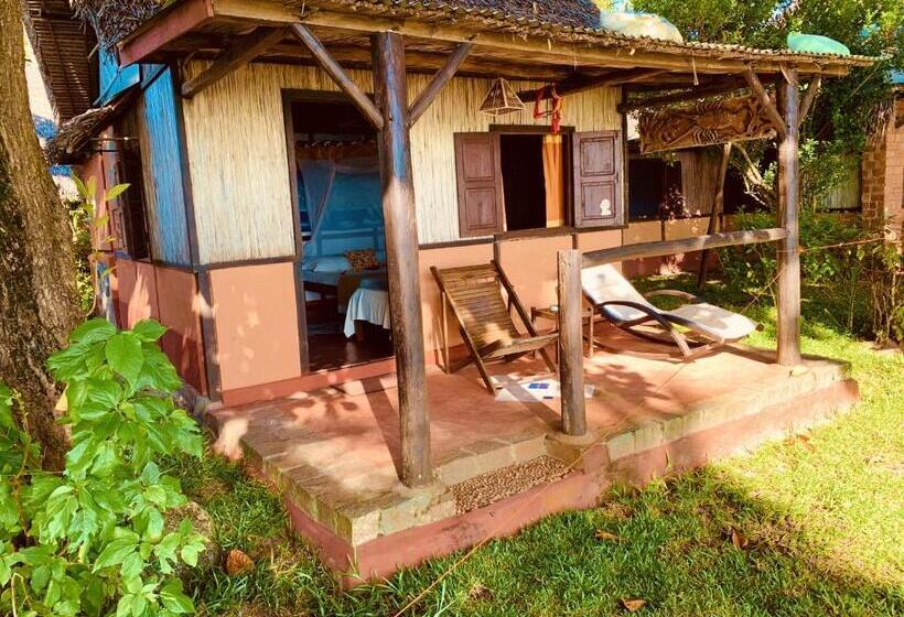 스탠다드 방갈로, Libertalia