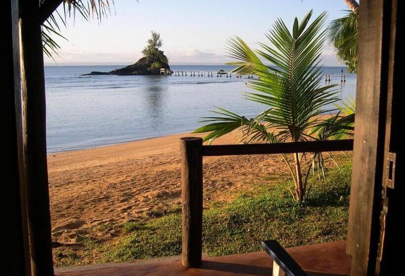 패밀리 룸 바다 전망, Libertalia