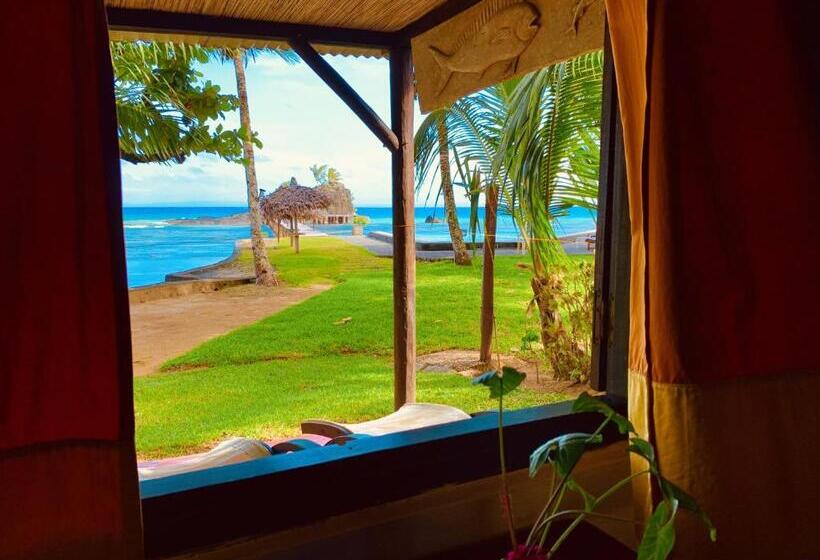 패밀리 방갈로, Libertalia